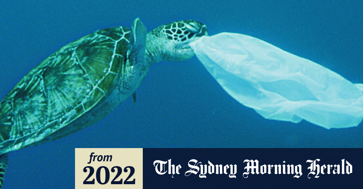 Video New awareness campaign ahead of NSW plastic ban